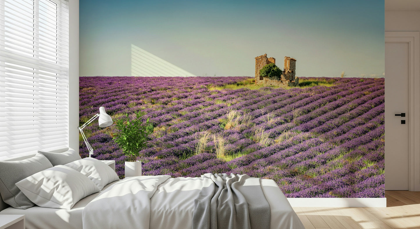 Lavender Field Sunset Wall Mural