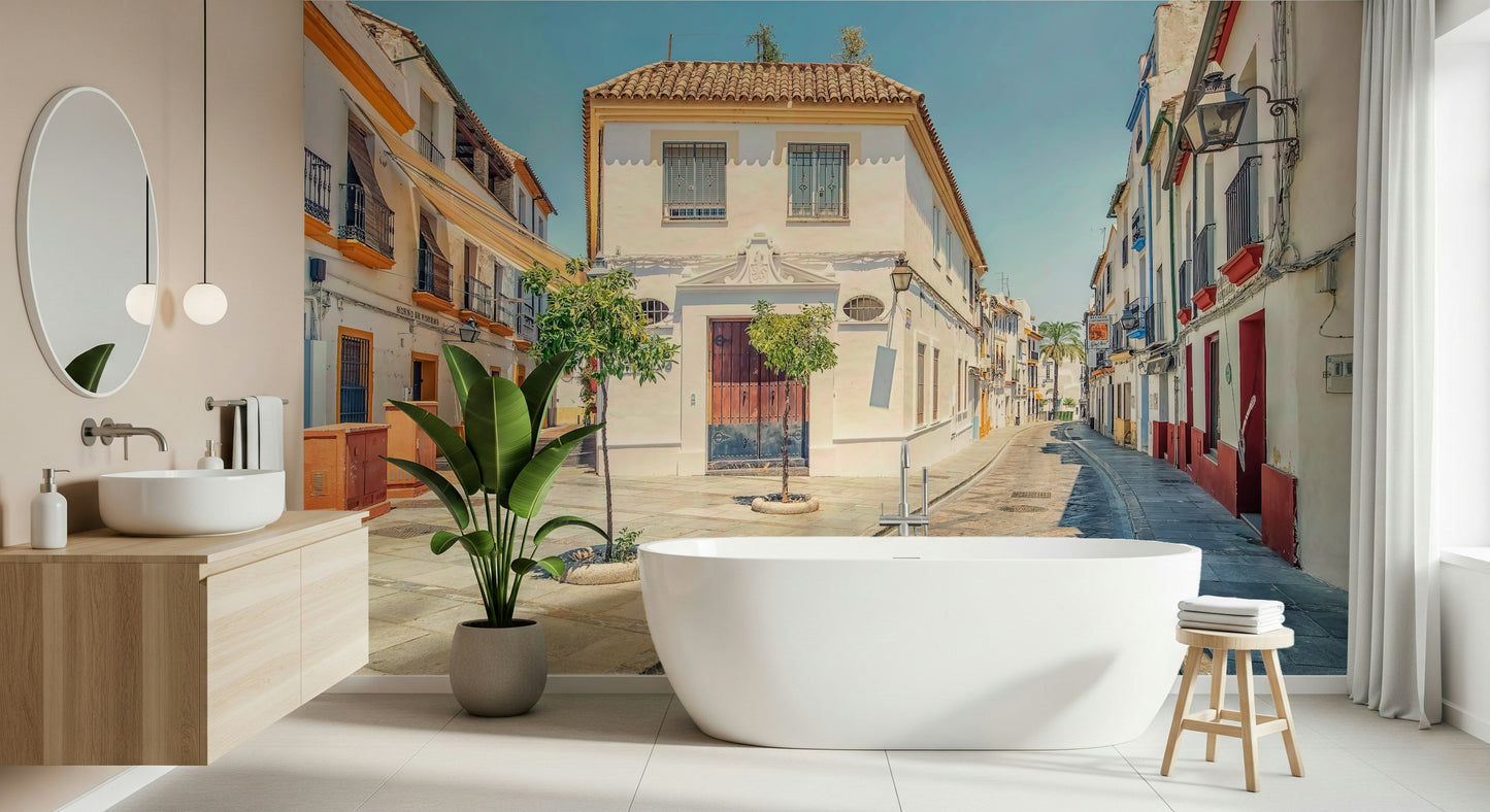Spanish Street Charm Wall Mural