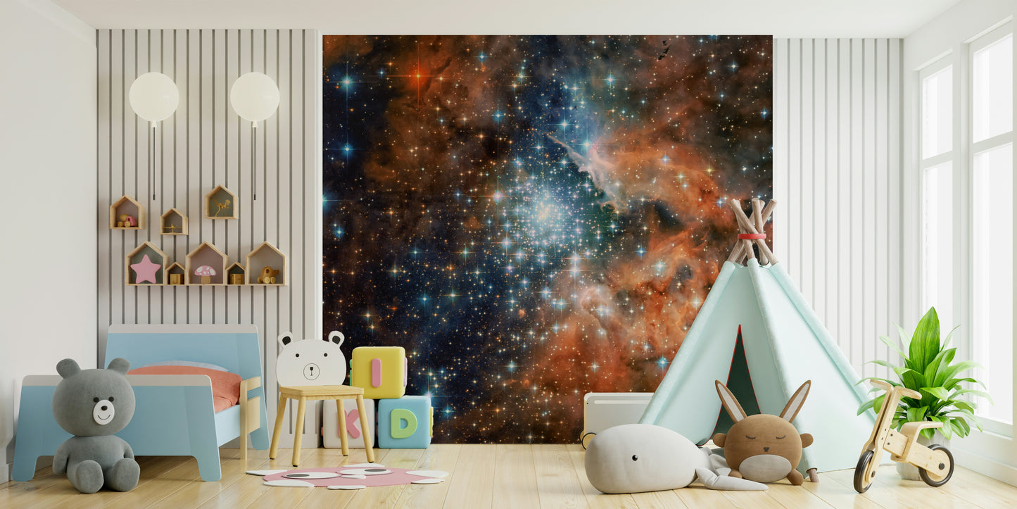 Starlight Vista Wall Mural