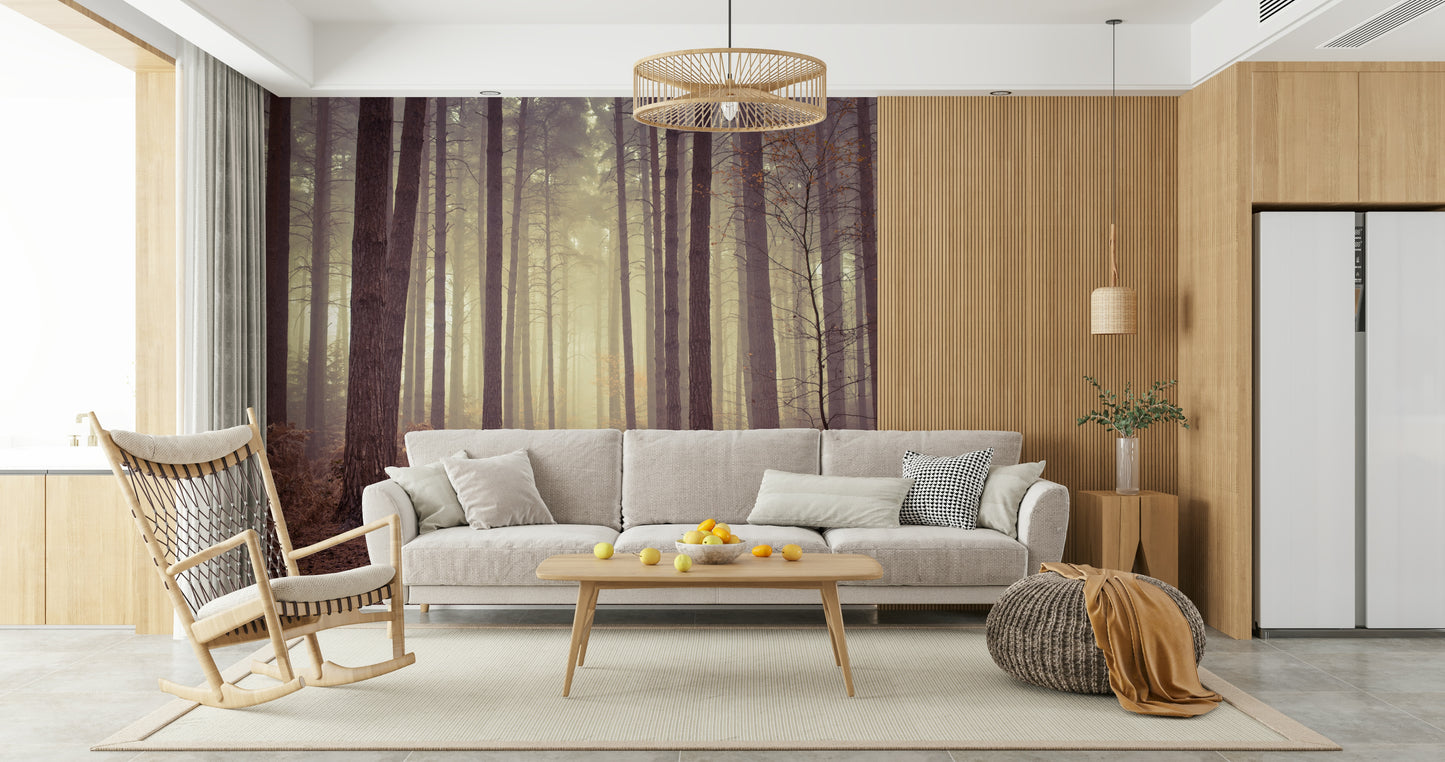 Enigmatic Beauty of Forest Wall Mural