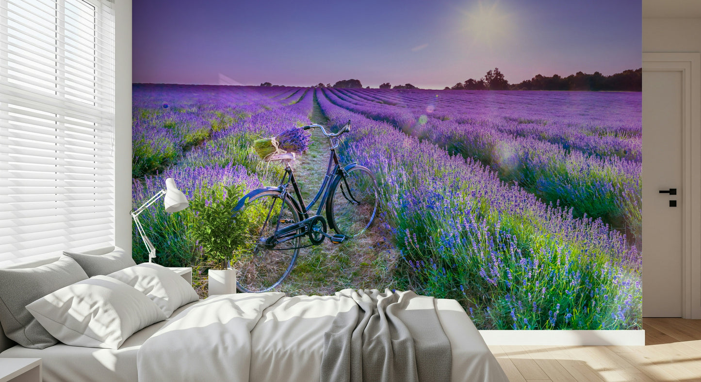 Sunlit Lavender Escape Wall Mural