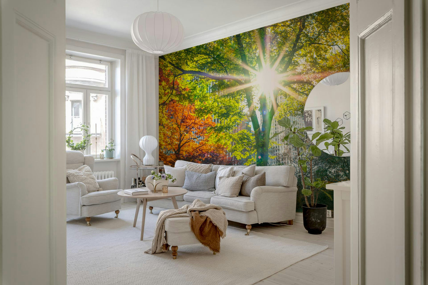 Sun Rays Through Trees Wall Mural