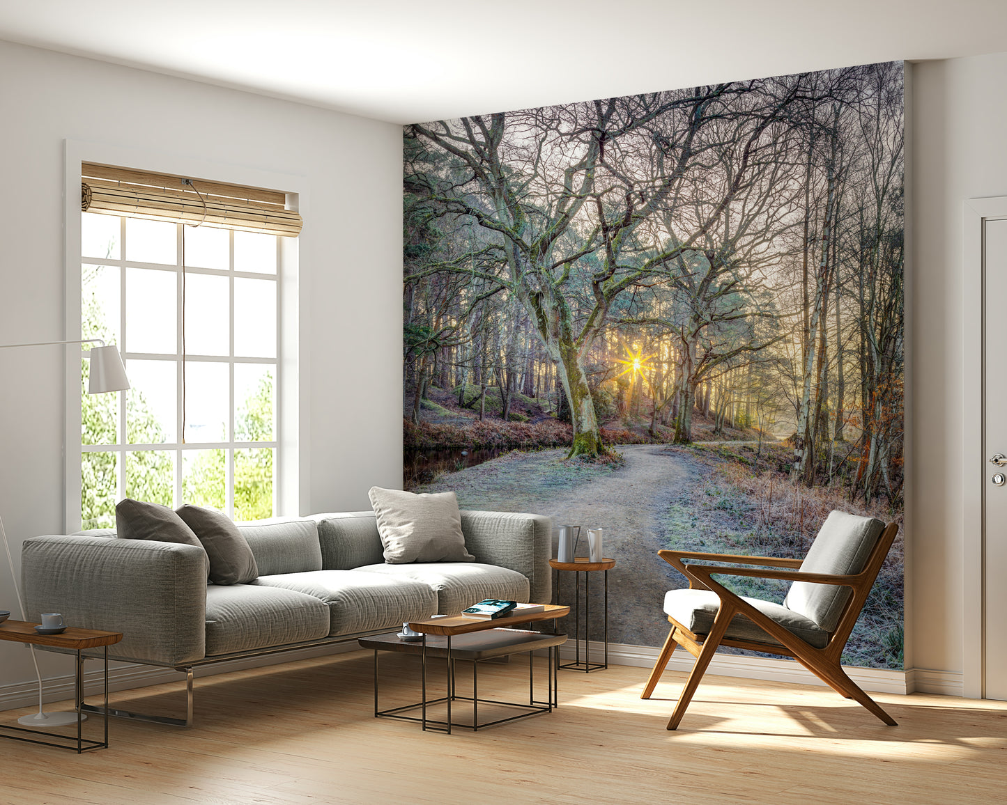 Misty Woodland Glare Wall Mural