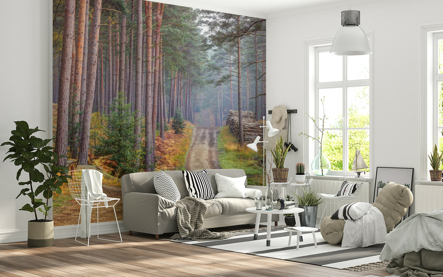 Serene Road Through Autumn Splendor Wall Mural