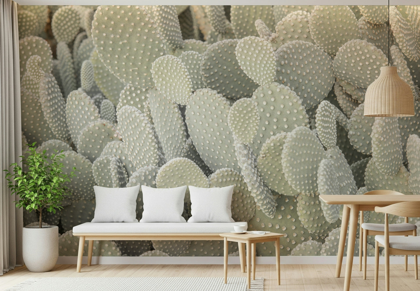 Serene Cactus Cluster Wall Mural