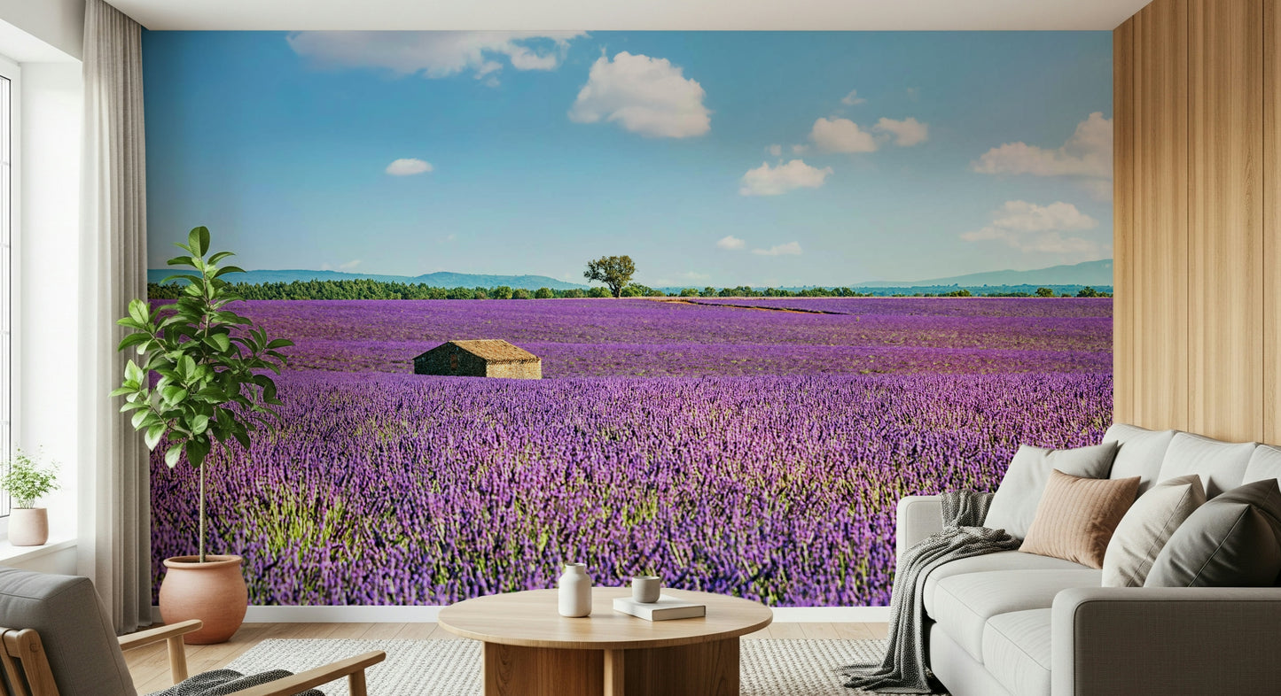 Provence Landscape Wall Mural