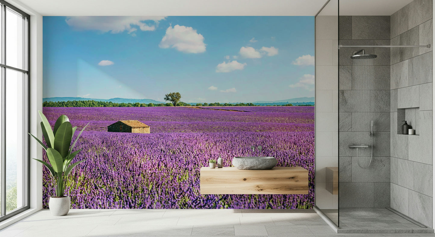 Provence Landscape Wall Mural