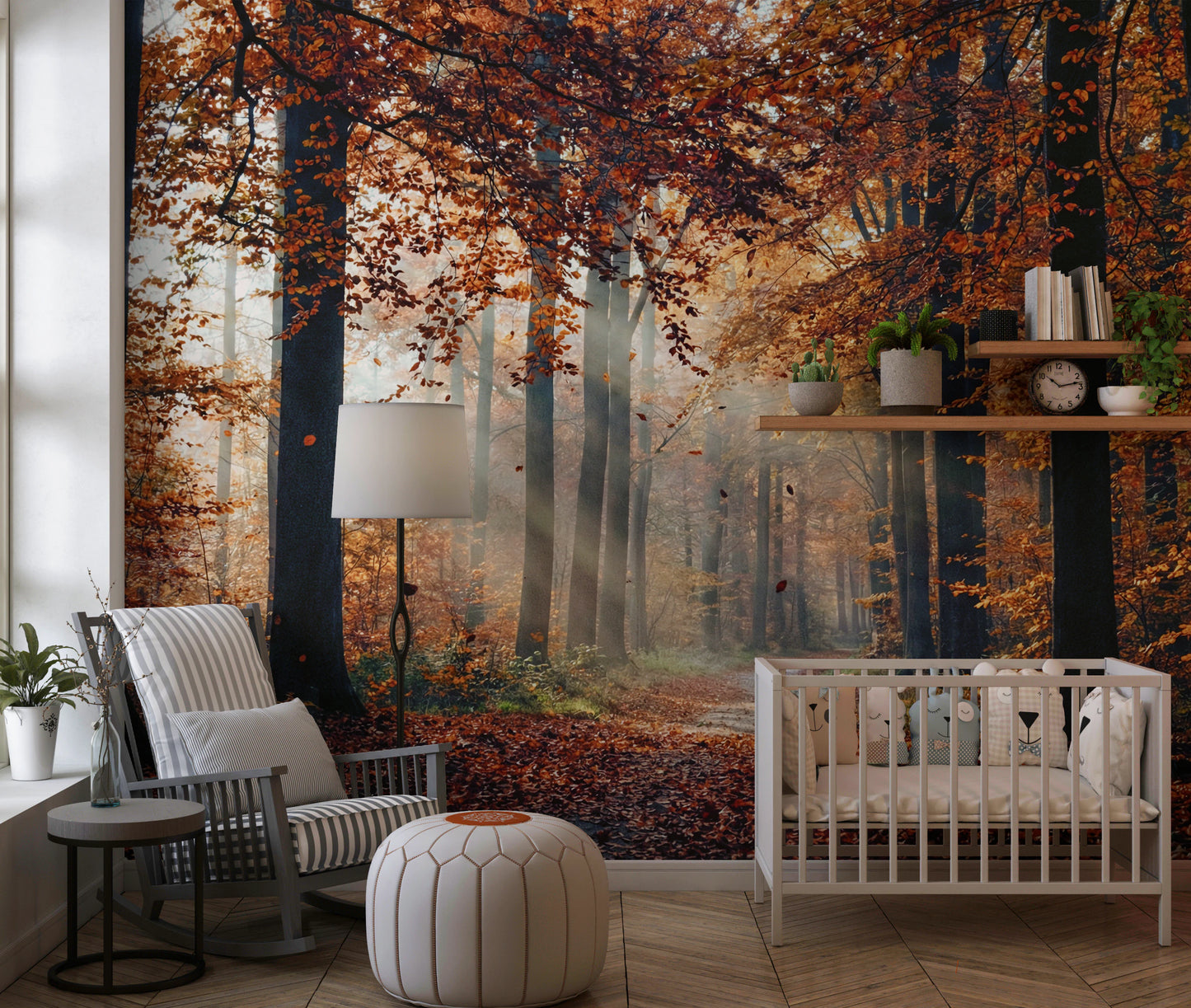 Autumn's Light Wall Mural