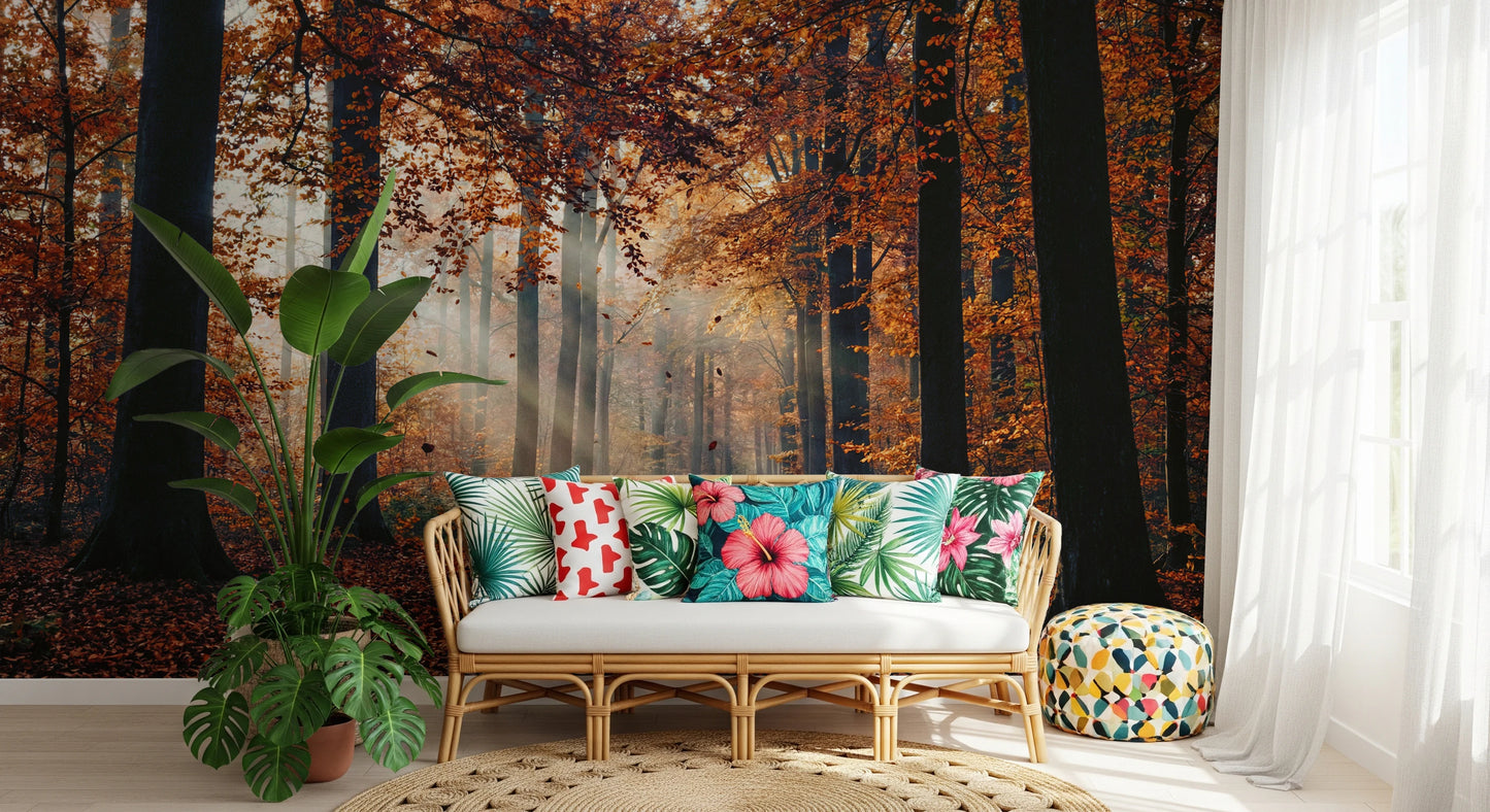 Autumn's Light Wall Mural