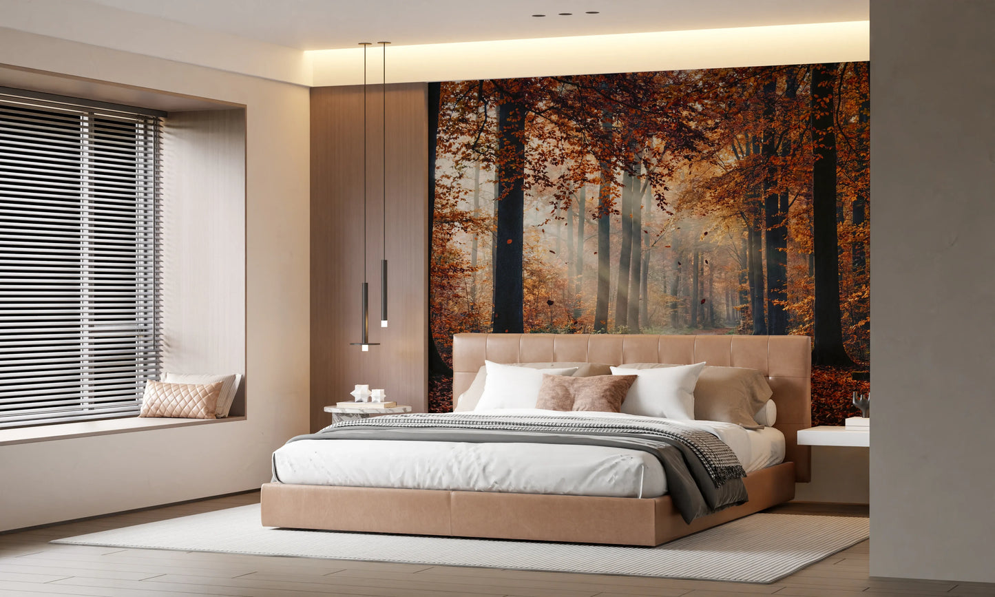 Autumn's Light Wall Mural