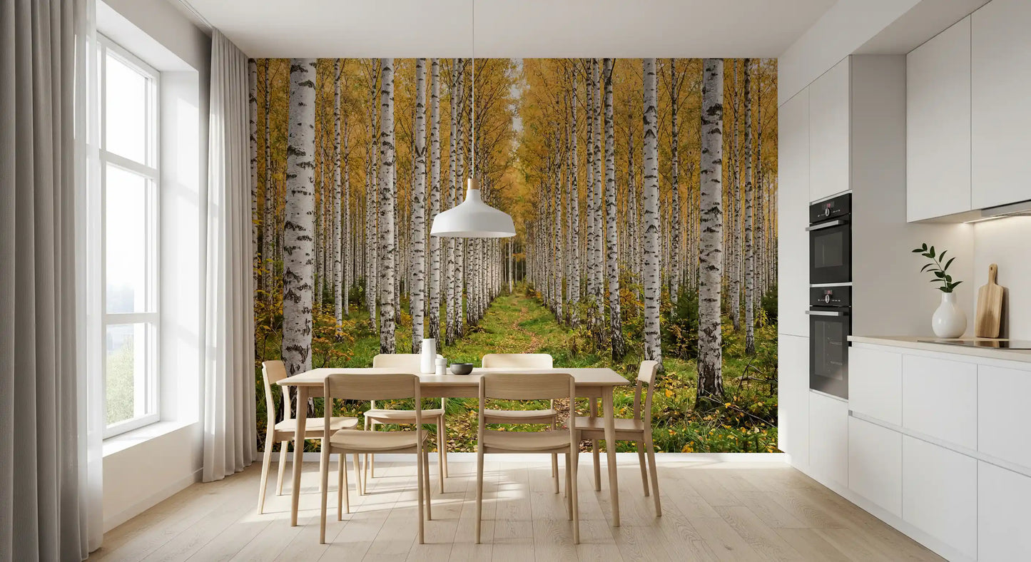 Autumnal Birch Haven Wall Mural