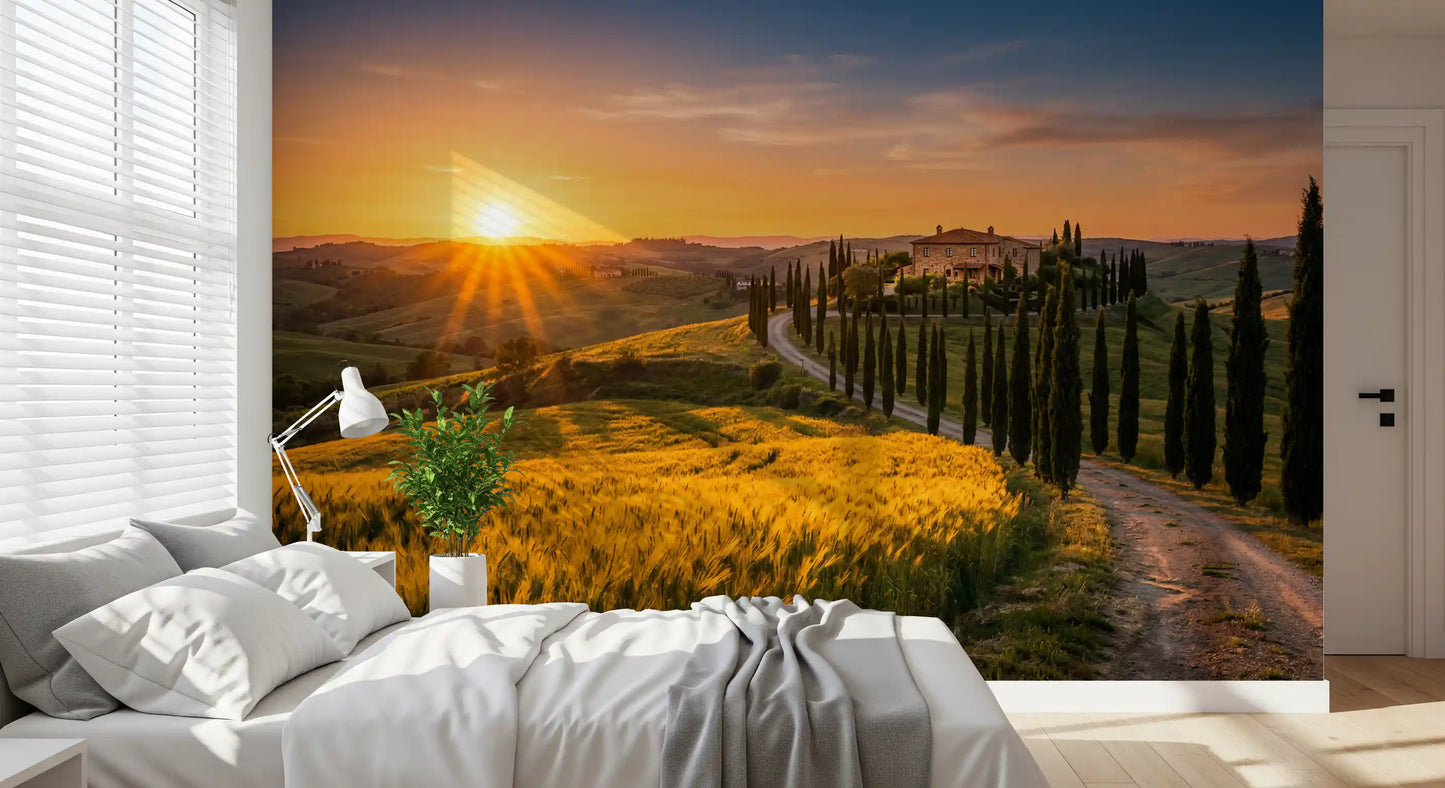 Tuscan Golden Hour: Cypress Path Wall Mural