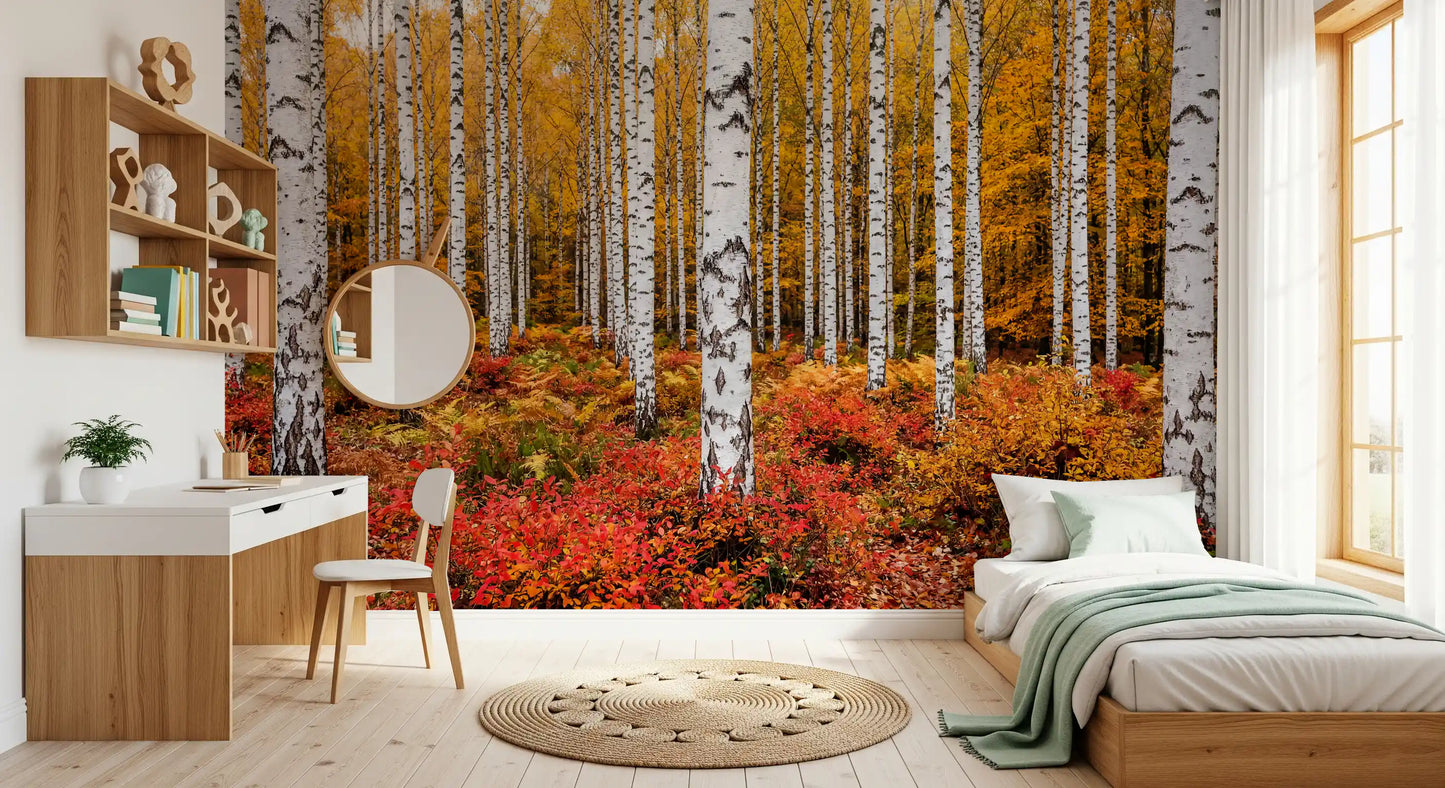 Vibrant Autumn Birches Wall Mural