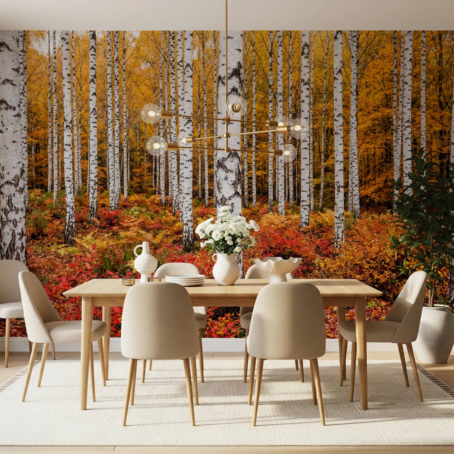 Vibrant Autumn Birches Wall Mural