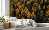 Bedroom wall mural with autumn foliage and deep forest texture