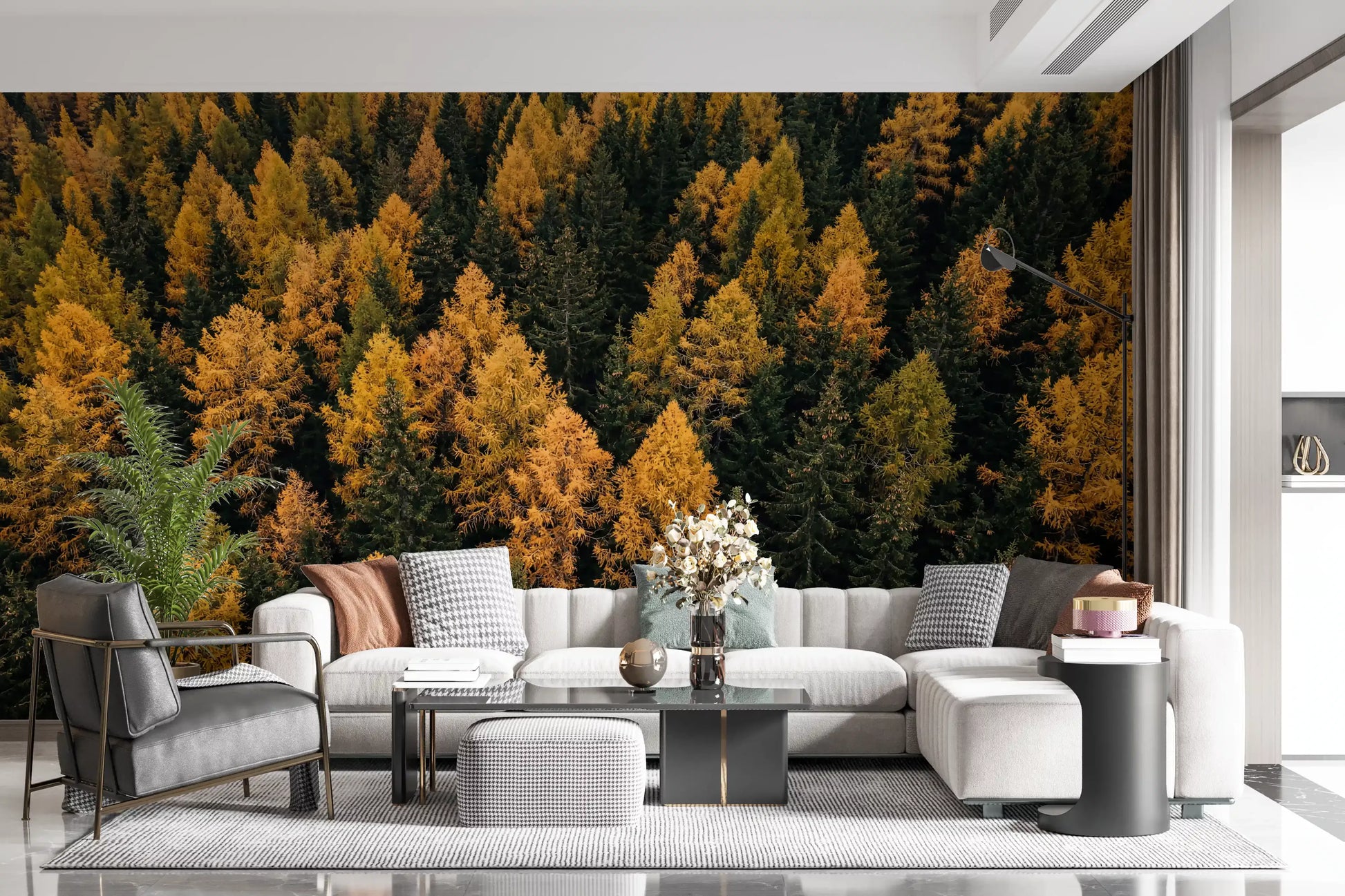 Home Office wall mural with dense forest canopy and autumn color contrast