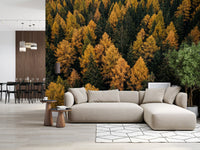 Hallway wall mural with aerial woodland view and fall foliage detail