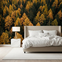 Guest room wall mural with dense woodland canopy and autumn shades