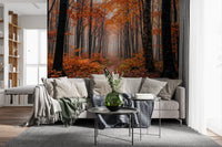 Autumn woodland wall mural with layered trees and path perspective