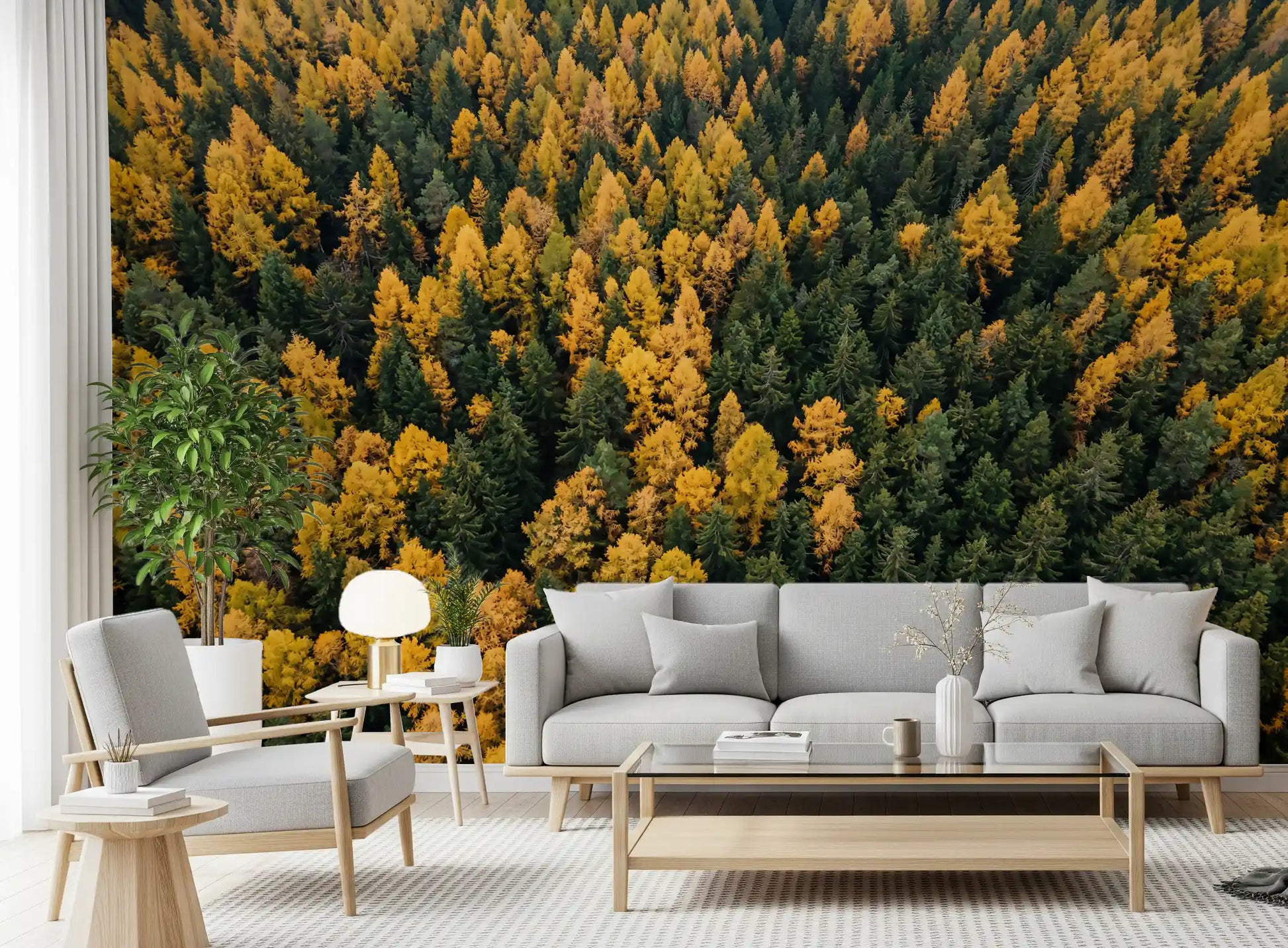 Open living room layout enriched through this gorgeous Forest inspired wall mural.