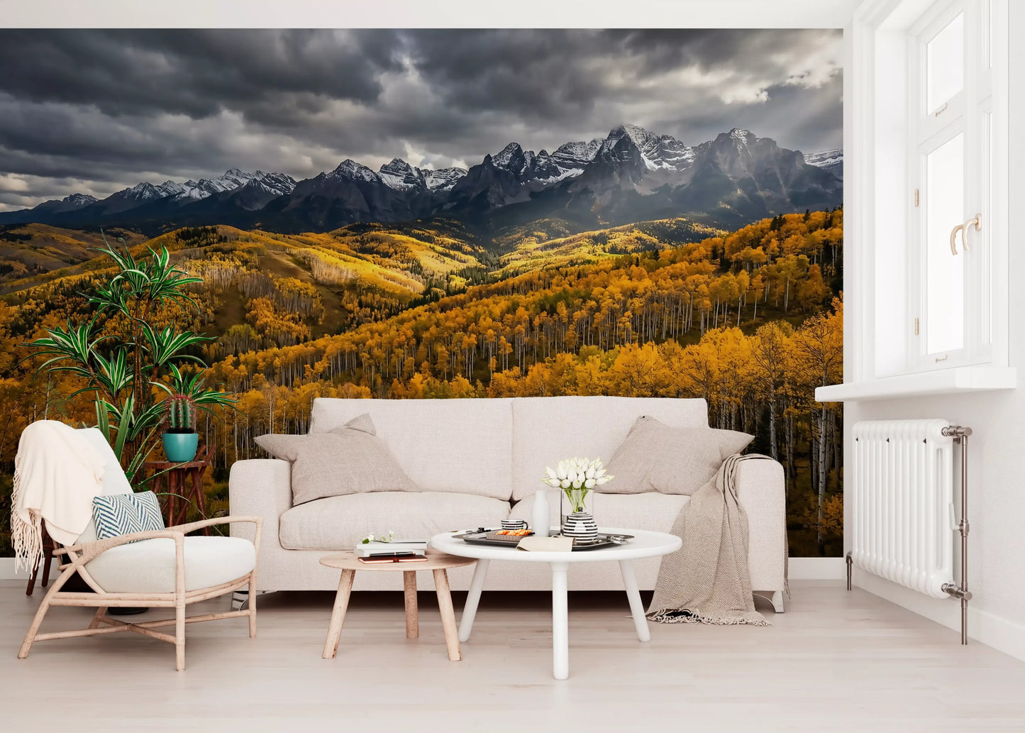 Slim white birch trunks rise through the Autumn's Golden Embrace wall mural