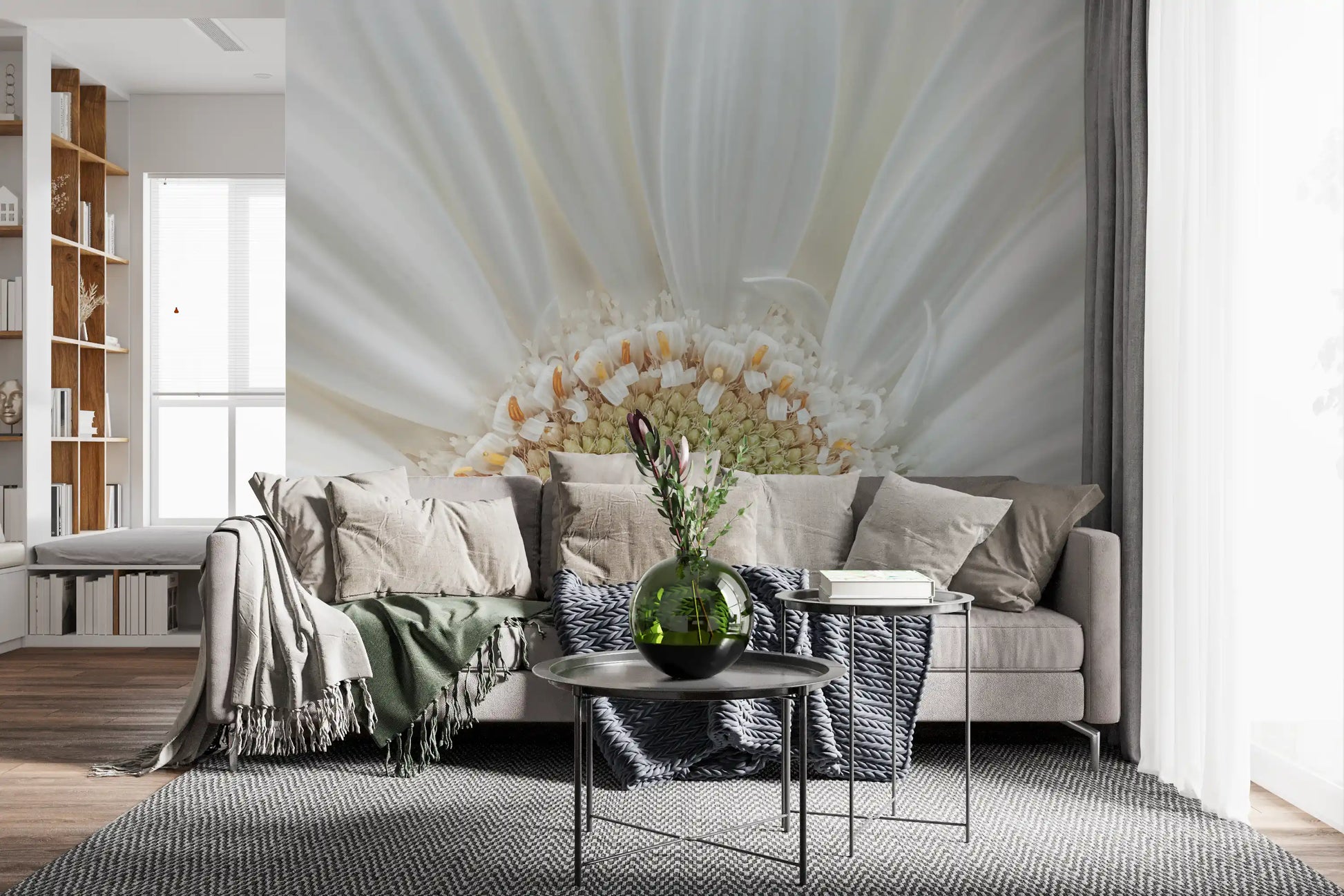 White Petal Radiance wall mural shows a single gerbera filling the whole frame