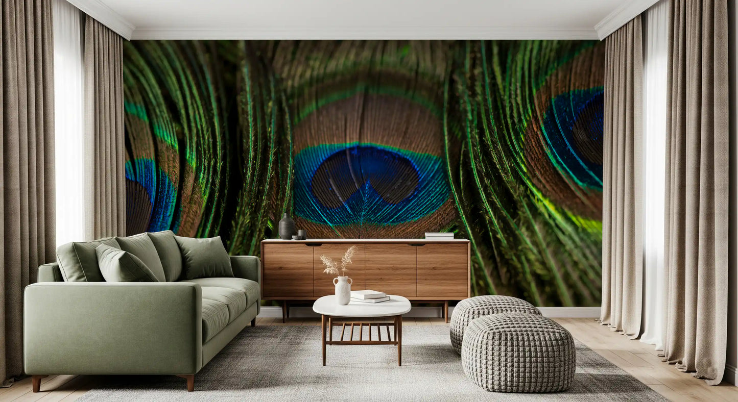 Fine filaments fan toward glowing centres in the peacock plumes wall mural