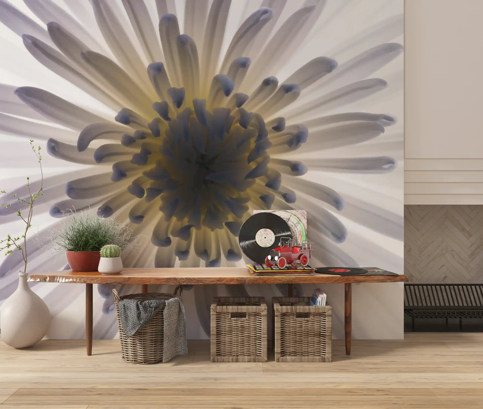 Luminous Petals wall mural shows one chrysanthemum opening in a wide spiral