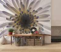 Luminous Petals wall mural shows one chrysanthemum opening in a wide spiral