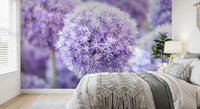 Round lavender heads command attention on this Purple Floral Orb wall mural.