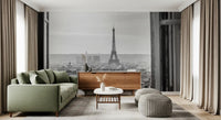 Grainy black white tones run through the Parisian Window View wall mural picture quietly.