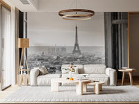Rooftop view styles a Living room with this Parisian Window View wall mural in greyscale.