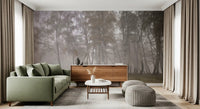 Pale white trunks the Misty Birch Grove scenery upon this smooth wall mural.