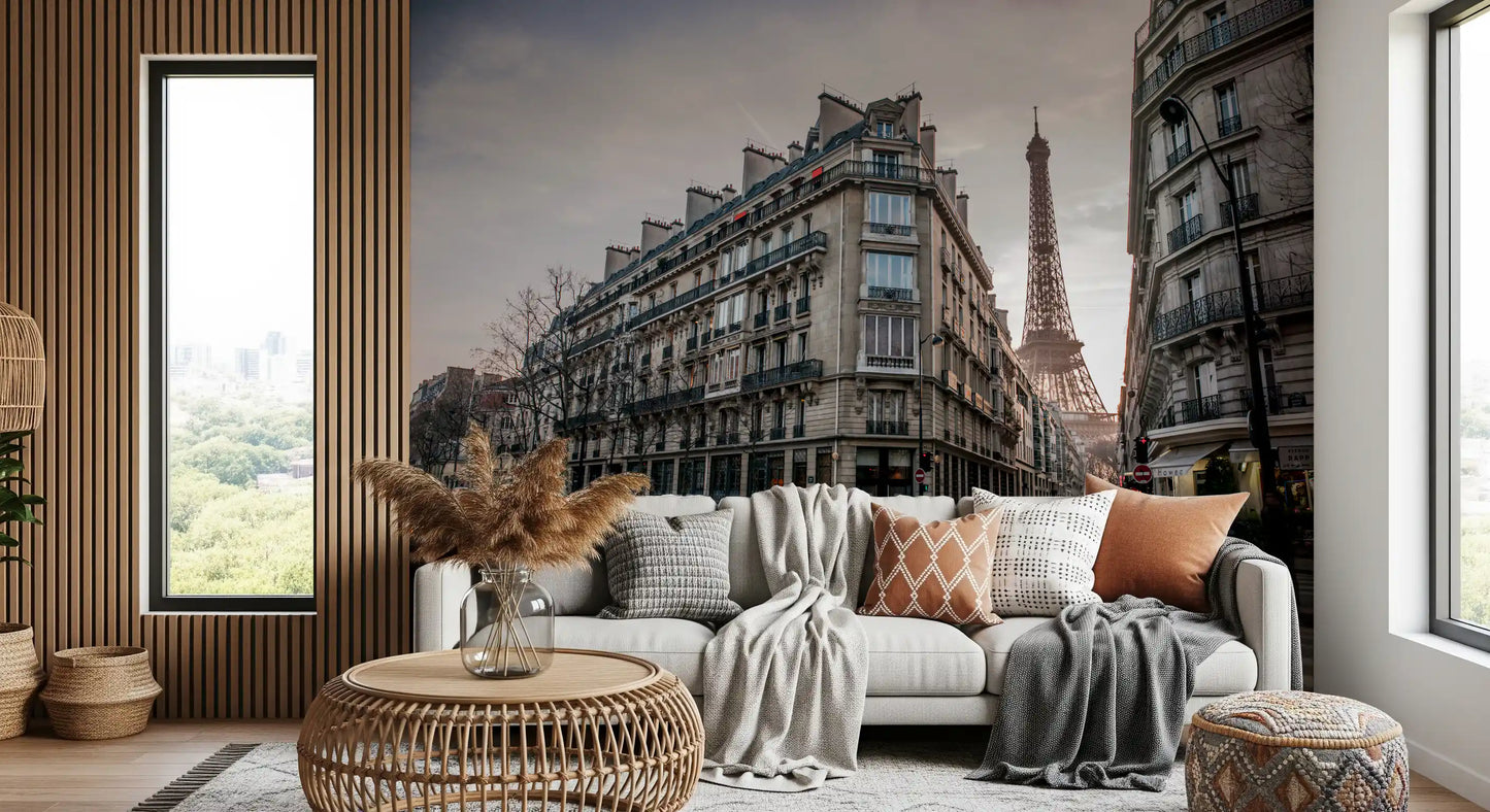 Haussmann stonework details are visible throughout this Flow wall mural panorama.