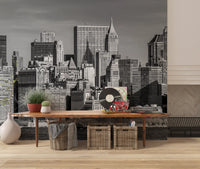 This Manhattan Monochrome Majesty wall mural spans a Hallway.