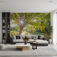 Central sunburst pierces the canopy across the Sunlit Woodland Canal wall mural.