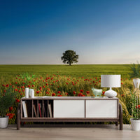 Natural elements of the Horizon wall mural line the long hallway beside the entrance.