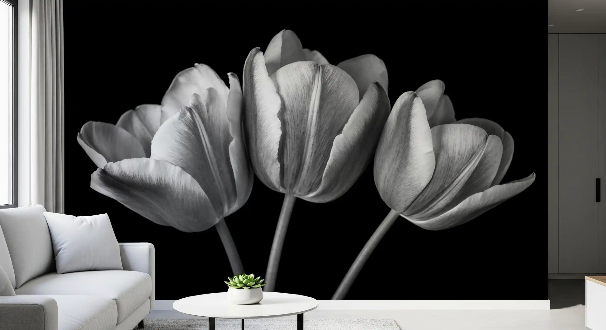 Monochrome tulips rise on slender stems in a black and white wall mural