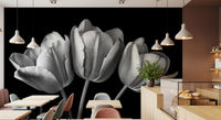 Three tulip blooms glow in grey against black in this floral wall mural