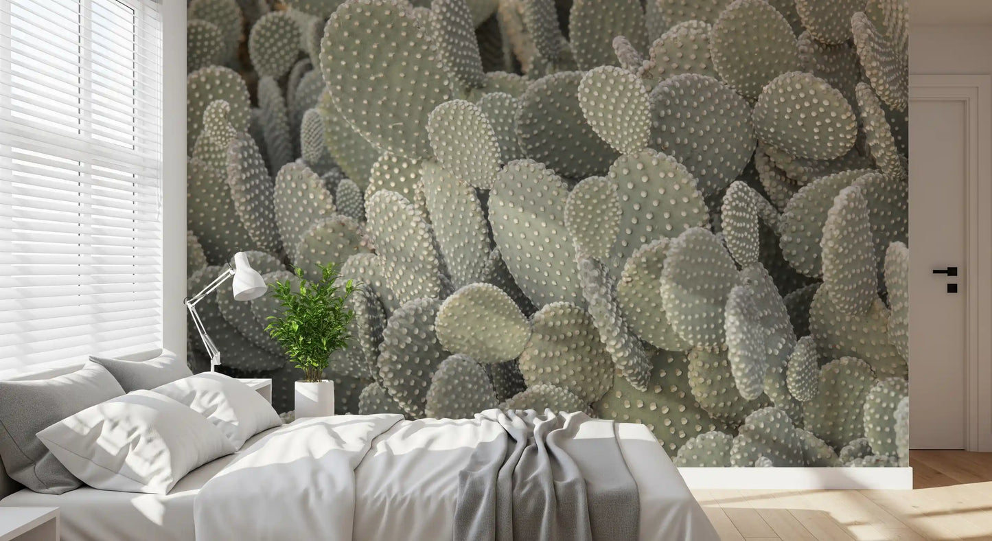 Cacti background Wall Mural