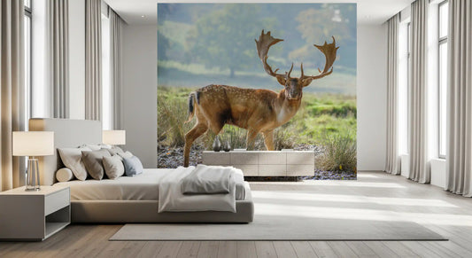 Majestic stag wallpaper surrounded by peaceful woodland scenery