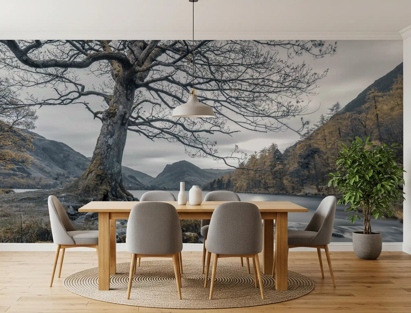 Ancient Oak, Silent Waters Wall Mural