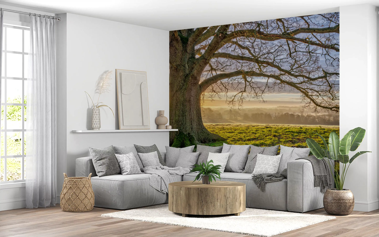 Golden Dawn Oak Tree Wall Mural