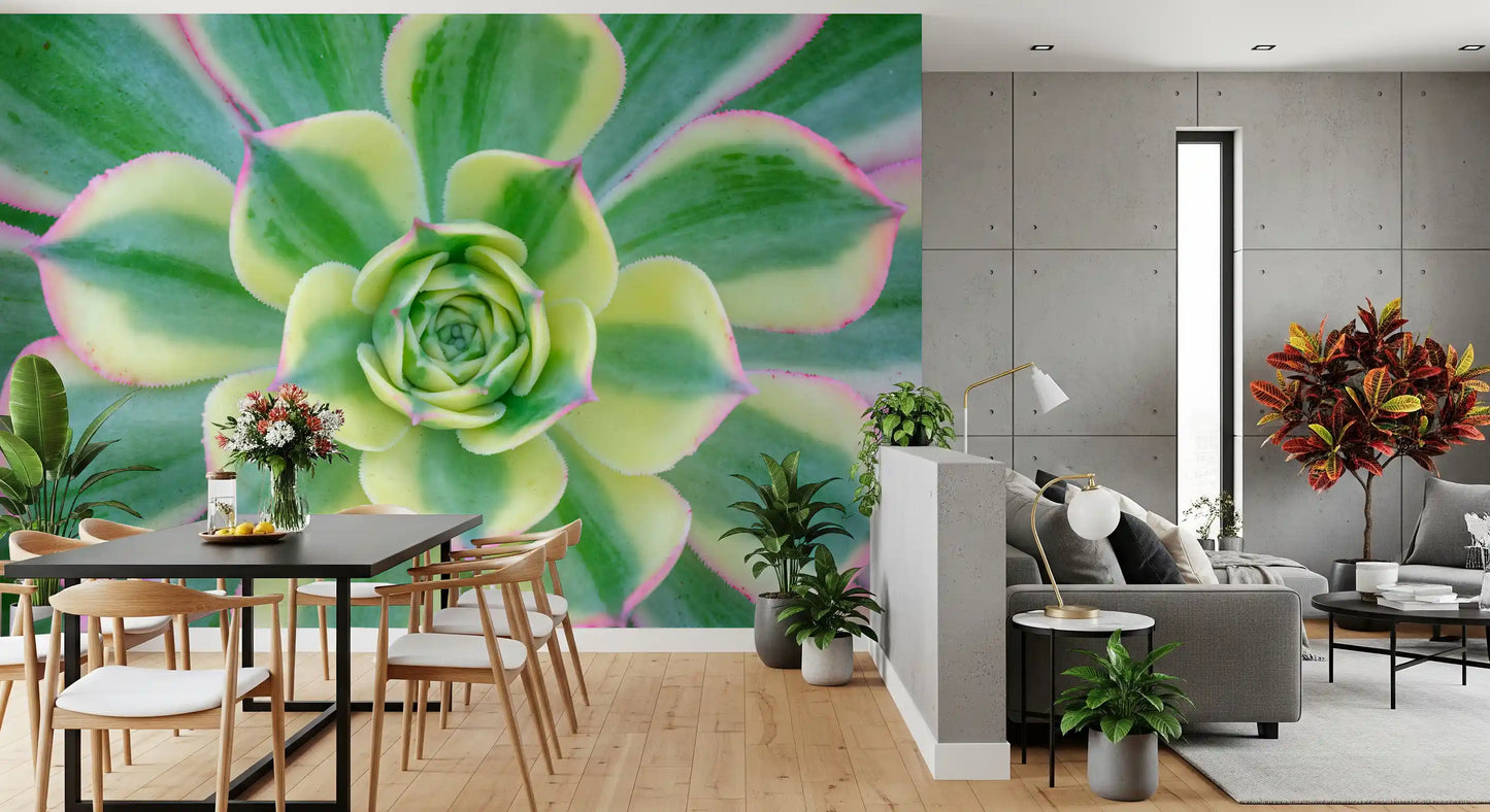 Succulent Serenity Wall Mural