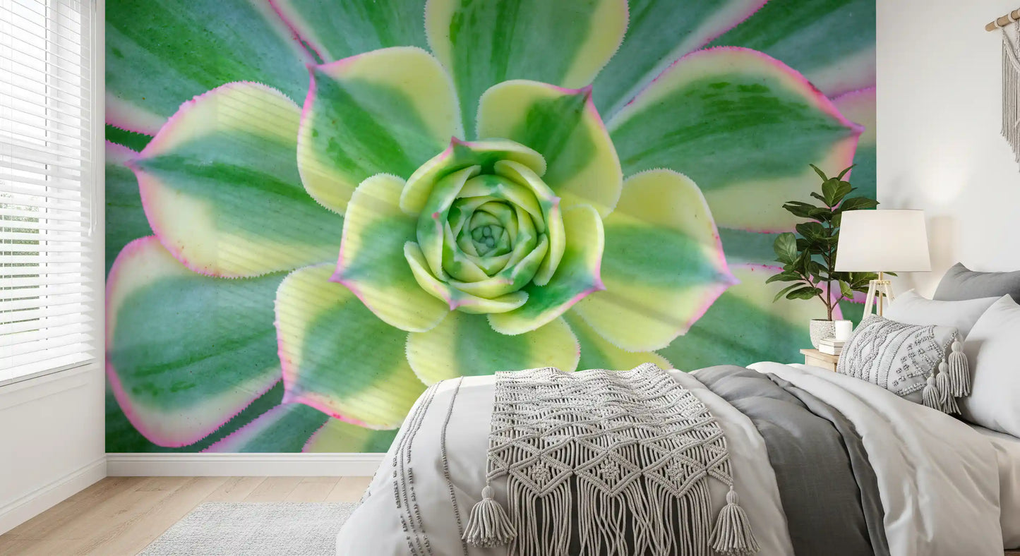 Succulent Serenity Wall Mural