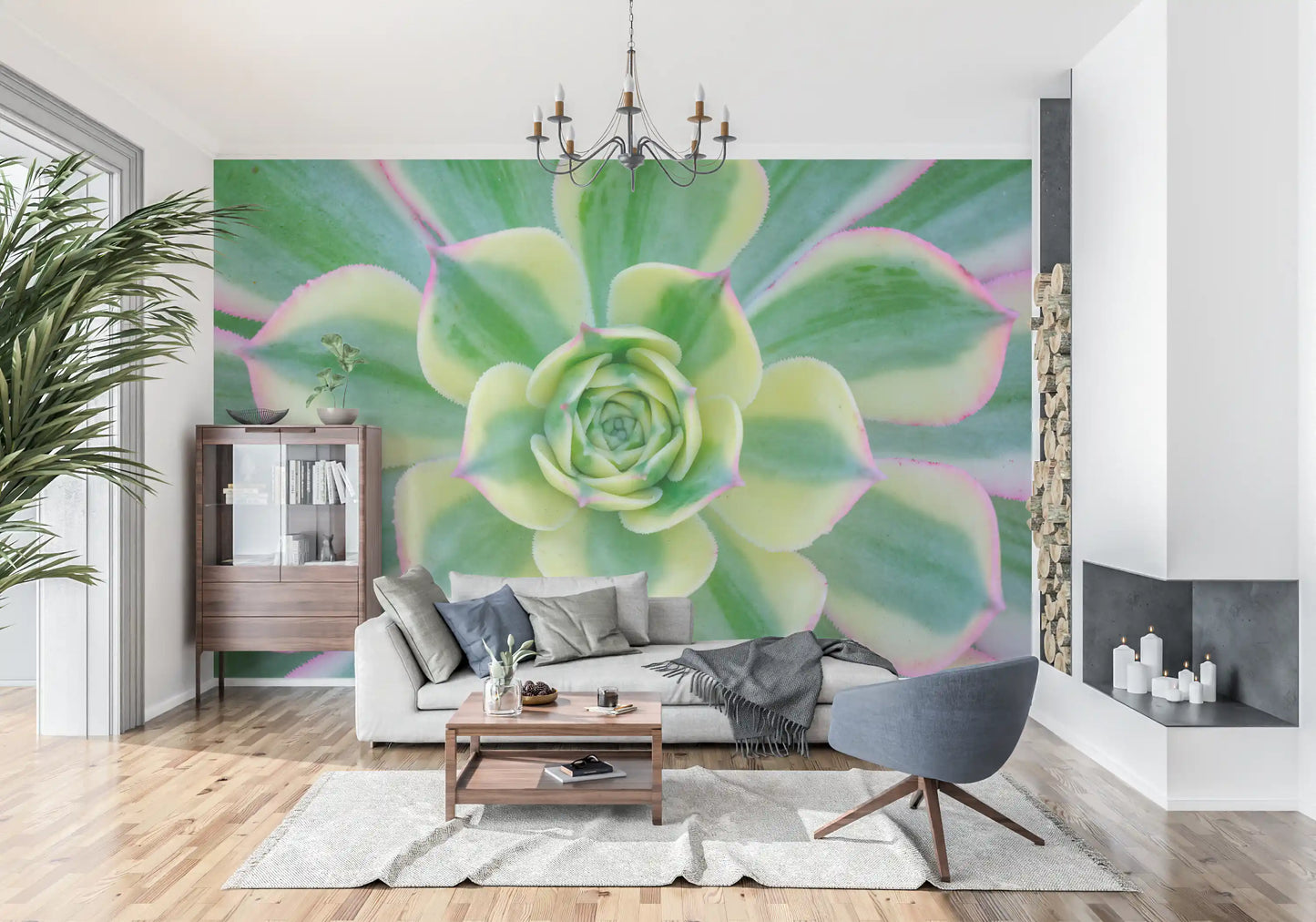 Succulent Serenity Wall Mural