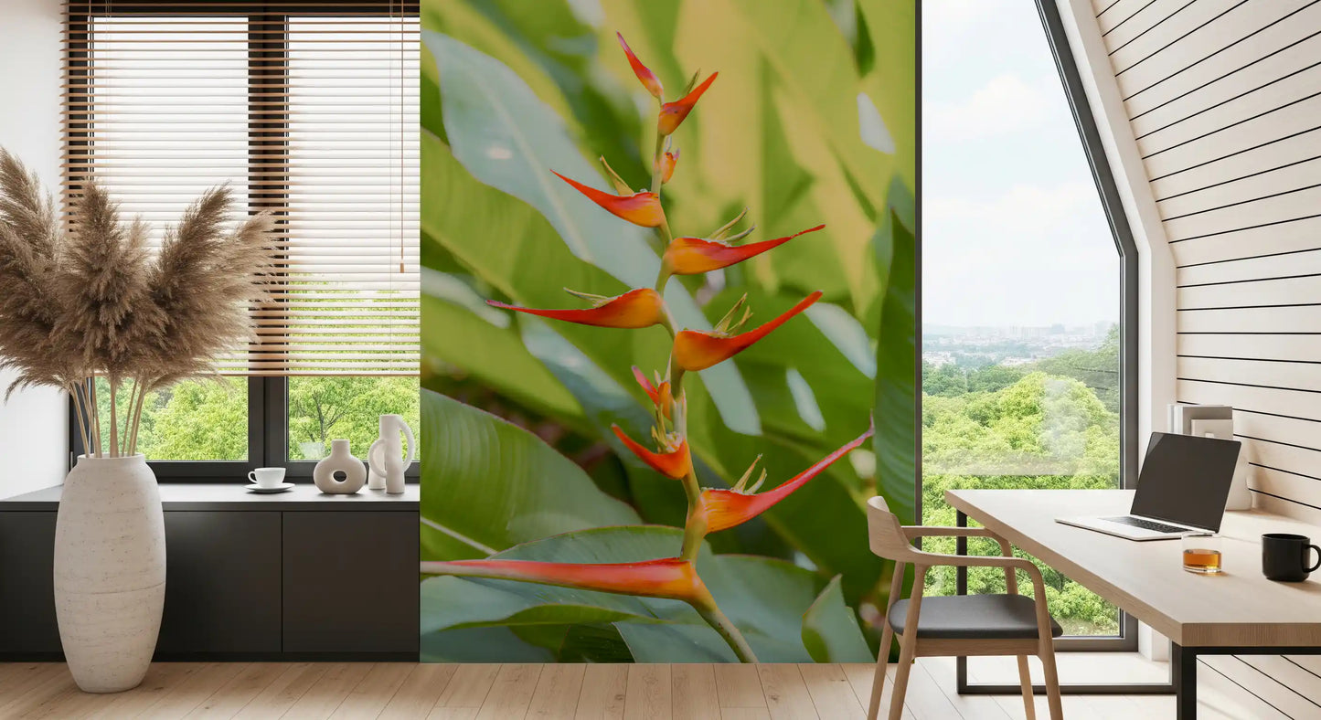 Tropical floral wall mural filled with colourful heliconia plants