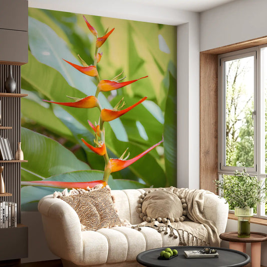 Tropical heliconia wall mural with fiery red and orange blooms