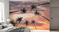 Tropical sunset wall mural with silhouetted palm trees above