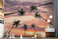 Sunset palm canopy wall mural with warm tropical sky colours